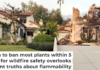 Photos after the Los Angeles fires in January 2025 show many yards where vegetation didn’t burn while neighboring houses did. AP Photo/Chris Pizzello